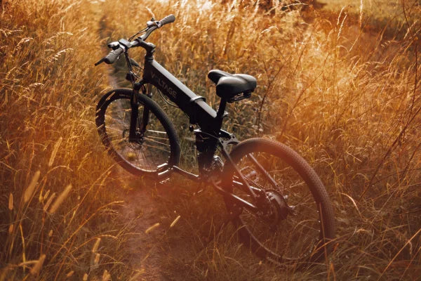 VOLTAGE Rattlesnake E-Bike